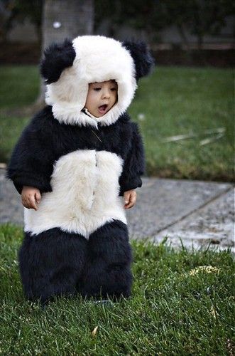 Baby Panda costume