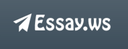 Essay.WS review logo